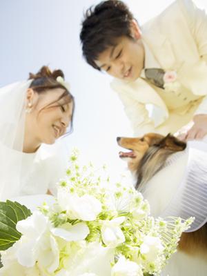 広島で選ぶ婚約指輪2025年最新版：購入前に知りたいポイントとおすすめショップ