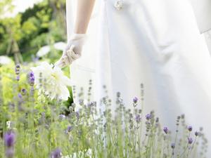 婚約まで手伝ってくれる岡山の結婚相談所