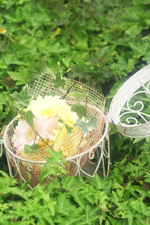 兵庫でのウェディングフォトの特徴